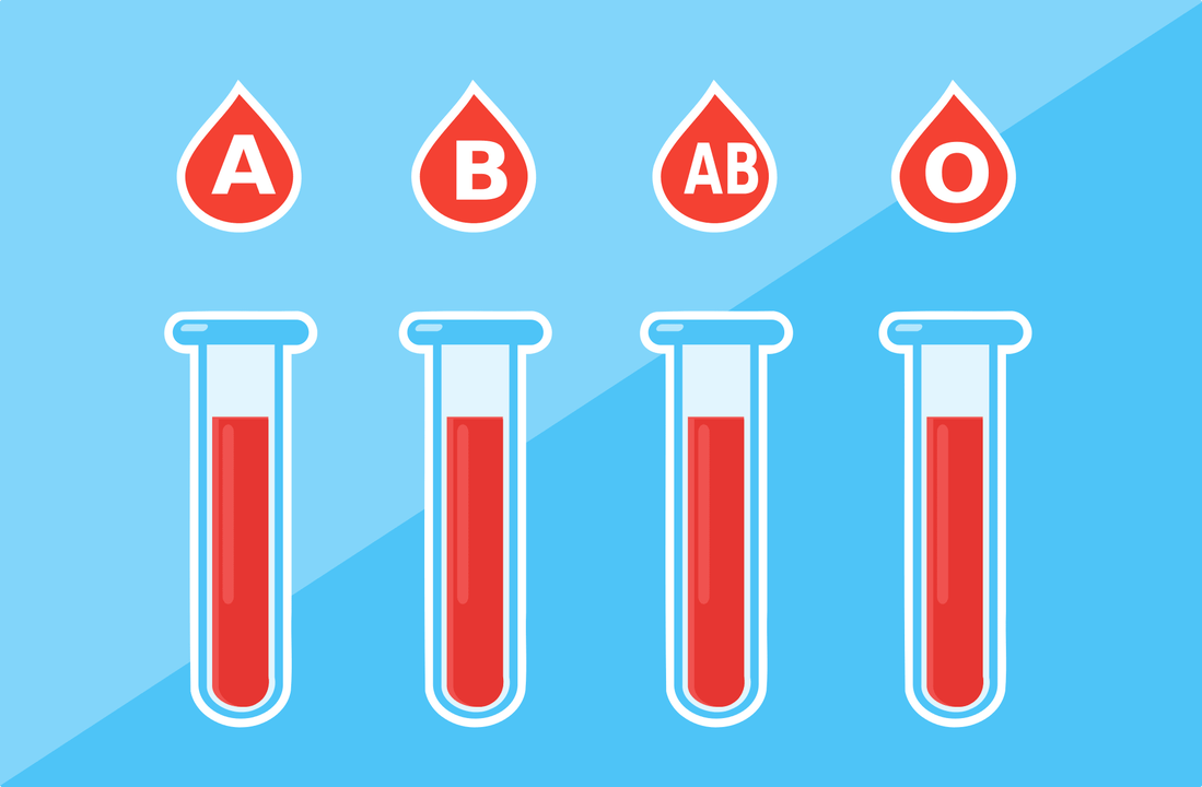 A, B, AB, O သွေးအုပ်စု ၄ မျိုးရှိသည်။